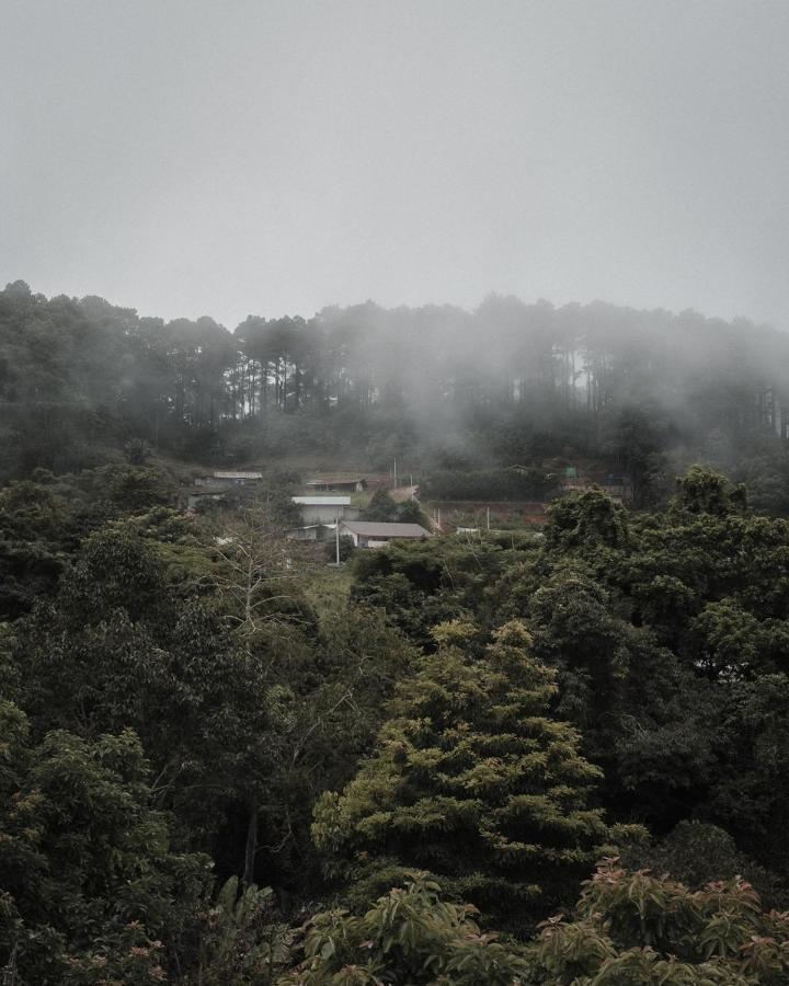 Phu Morinn Camping ม่อนแจ่ม Mon Jam Экстерьер фото