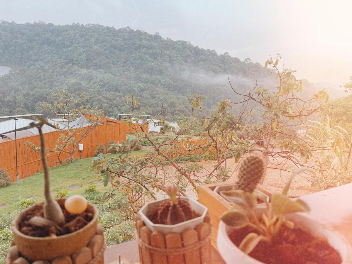 Phu Morinn Camping ม่อนแจ่ม Mon Jam Экстерьер фото